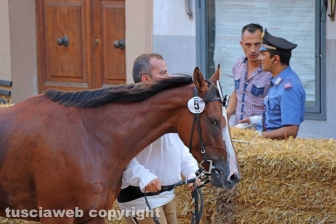 Ronciglione - Le corse a vuoto