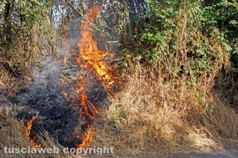 Le fiamme investono strada Signorino