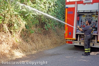 Le fiamme investono strada Signorino