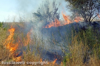 Le fiamme investono strada Signorino
