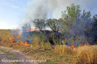 Le fiamme investono strada Signorino