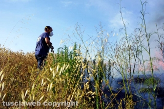 Le fiamme investono strada Signorino