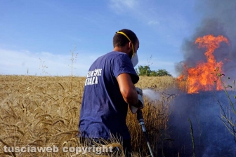 Le fiamme investono strada Signorino