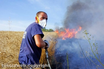 Le fiamme investono strada Signorino