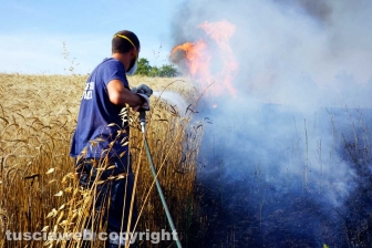 Le fiamme investono strada Signorino