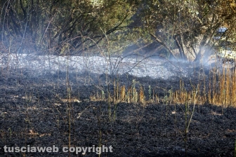 Le fiamme investono strada Signorino