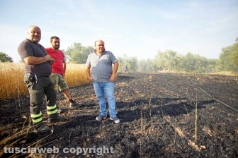 Le fiamme investono strada Signorino