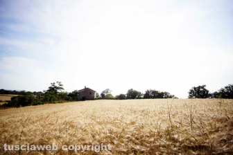 Le fiamme investono strada Signorino