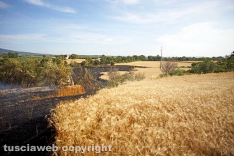 Le fiamme investono strada Signorino