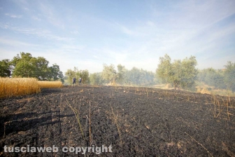 Le fiamme investono strada Signorino