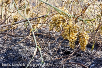 Le fiamme investono strada Signorino
