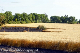 Le fiamme investono strada Signorino
