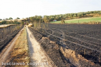 Le fiamme investono strada Signorino