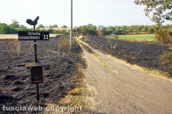 Le fiamme investono strada Signorino