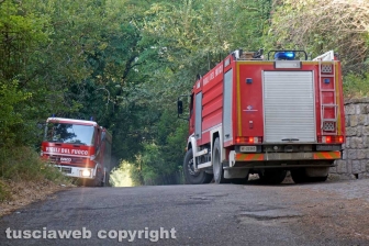 Le fiamme investono strada Signorino
