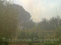 Le fiamme minacciano case a Vitorchiano
