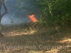 Le fiamme minacciano case a Vitorchiano