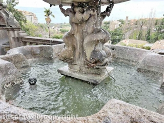 Viterbo - La fontana del cortile di palazzo dei Priori