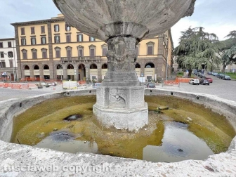 Viterbo - La fontana di piazza della Rocca