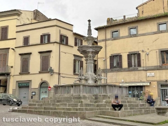 Viterbo - La fontana grande