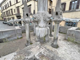 Viterbo - La fontana grande