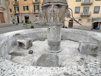 Viterbo - La fontana di piazza San Faustino