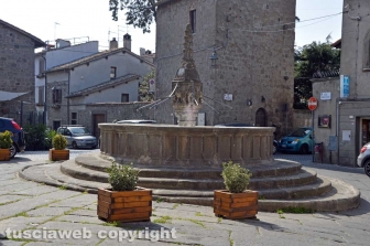 Viterbo - La fontana di Pianoscarano