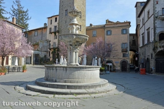 Viterbo - La fontana di piazza del Gesù