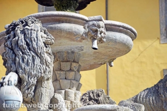Viterbo - La fontana di piazza delle Erbe