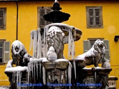 Piazza delle erbe- Angelo Fabrizi