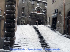 Viterbo - Sandro Cantoni