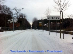 Viale Trieste - Silvio Cappelli