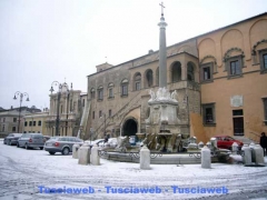 La Neve a Tarquinia - Luca