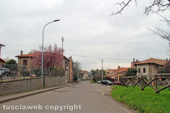 Tobia