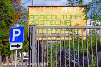 Le macerie