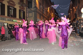 La mascherata I fenicotteri