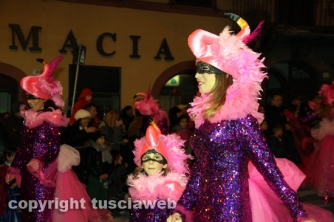 La mascherata I fenicotteri
