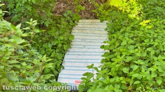 Viterbo - Un materasso gettato tra le erbacce a porta del Carmine