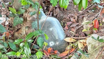 Viterbo - Una minidiscarica poco prima di porta del Carmine - Tra i rifiuti: un carello porta spesa, indumenti e una damigiana in vetro