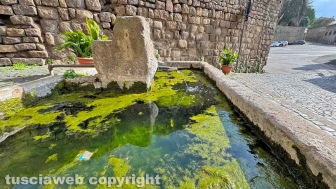 Viterbo - La fontana di porta San Pietro con la vasca piena di alghe e i resti di un vecchio cartello stradale ancora attaccati a uno spigolo delle mura