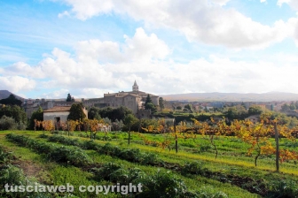Le mura della città