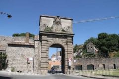La Mura di Viterbo invase dalle erbacce - Porta Faul