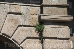 La Mura di Viterbo invase dalle erbacce - Porta Faul