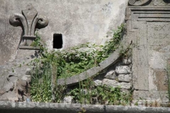 La Mura di Viterbo invase dalle erbacce - Porta Faul