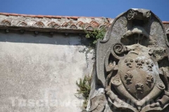 La Mura di Viterbo invase dalle erbacce - Porta Faul