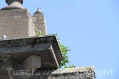 La Mura di Viterbo invase dalle erbacce - Porta Fiorentina