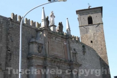 La Mura di Viterbo invase dalle erbacce - Porta Romana