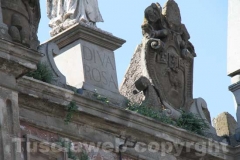 La Mura di Viterbo invase dalle erbacce