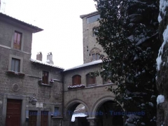Viterbo - San Pellegrino - Domenico Meschini