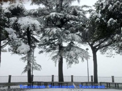Montefiascone - Luca